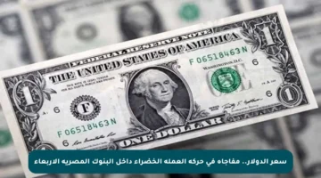 سعر الدولار.. مفاجأة في حركة العملة الخضراء داخل البنوك المصرية الأربعاء